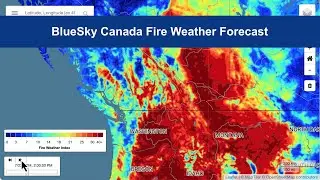 Interpreting BlueSky Fire Weather Forecasts