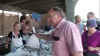 Du poisson frais vendu à la criée