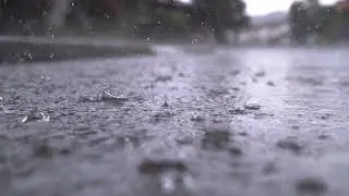 Count on SERVPRO of Missoula for Professional Remediation of Water Damage