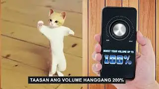Volume Booster PH 10