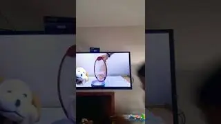 excite dog vs. cereal container!cheerios and goldfish make us part2!