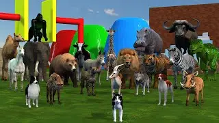 Lion Tiger Rex Hippo Deer and other Wild Animals Crossing the Fountain and Escaping Game