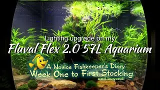 Lighting upgrade for my Fluval Flex 2 O 57 Litre Aquarium (Hygger spectrum HG-005)