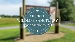 Community Spotlight: Merkle Sanctuary - Upper Marlboro, MD