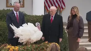 President Donald Trump pardons two turkeys outside White House per Thanksgiving tradition