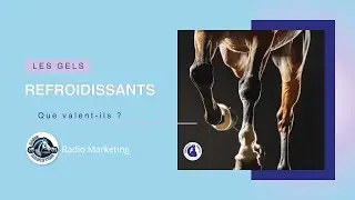 Gel de récupération pour cheval : utile ou marketing ?