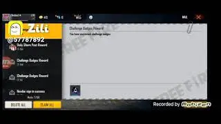 I got 2 custom card from free Fire