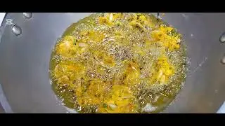 উত্তরবঙ্গের ভাইরাল পিয়াজু