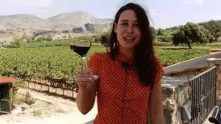 Enoturismo en Ja&eacute;n | Vendimiadores por un d&iacute;a