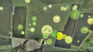 Milk Hill Crop Circles