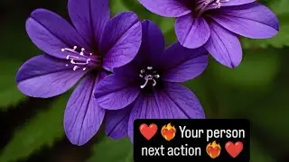 ❤️‍🔥Your person next action❤️‍🔥#tarot #tarotreading #astrology #tamil #healing #lovestatus #peace 