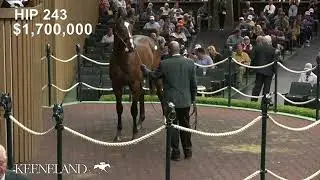 Potro 234 full brother de Early Voting venta millonaria en Keeneland