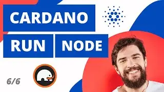 Запуск узла Cardano через командную строку