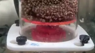 Reactor de biopellets