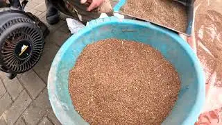 Фацелия для пчеловодов.