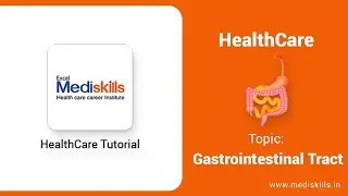 Gastrointestinal Tract/Digestive System/CBH/ EMT/Excel Mediskills-Sodepur