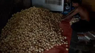 આજે ગયા પકોડીના ફોફા લેવા માટે
