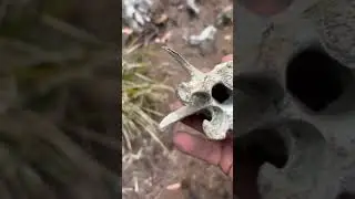 Car found off steep road