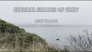 SEVERAL SHADES OF GREY