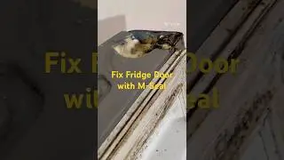Fix Fridge Door with M - Seal #mseal #fridgedoorrepair #fridgerepair