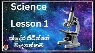 ක්ෂුද්‍ර ජීවීන්ගේ වැදගත්කම