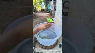 desinfetante antibactericida
