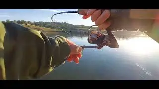 rainbow trout fishing at pardee opening day [CnR].....nuv ntses ua si pas dej tauv