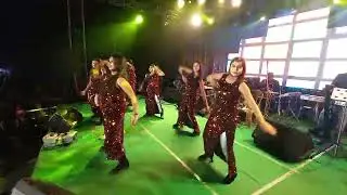 Nagin Dance With Backup Dance By Bad Girls.... Cover By Pallavi Roy❤❤