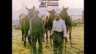 Ozark Mountain Daredevils   The Red Plum with Lyrics in Description