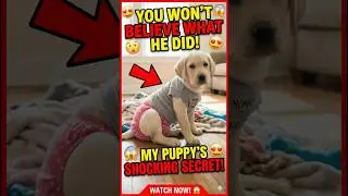 Mommy's Little Monster 🥺🐶 The Diaper Phase! #shorts