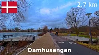 Virtual Run | Damhusengen | 2.7 km | Afternoon Run in Cold, Winter Weather