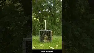Trapping a SQUIRREL! #trapping #squirrel #trappingseason #short #shorts #livetraps