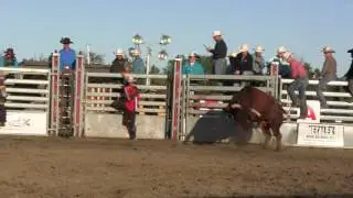 Nansen Vold Rodeo Co.'s 439 The Silence scores 83 points (ABB)