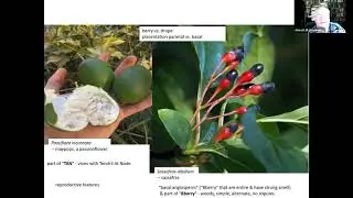 Basics of Botany Series - Part 2: Plant Reproductive Terminology with Dr. Richard Abbott