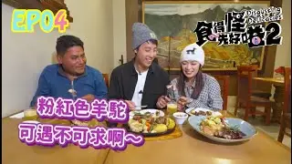 《食得怪先好嗌2》第 4 集 Hailey C 陳俞希 cut｜真係食到草泥馬 Disgusting delicacies S2 EP04 Really can eat Alpacas!!