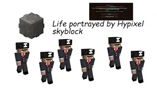 Life portrayed by Hypixel Skyblock