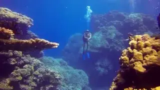 Scuba diving in Egypt