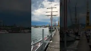 новий хит ИззатАли👍#travel #trending #shorts #shortsvideo #video #viral #hit #music #голуби #pigeon