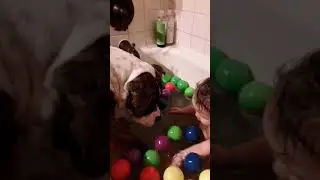 Pitt & toddler enjoying 