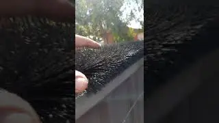Stop cats climbing on fences. Safe ,effective & cheap.
