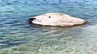 The Beautiful Hot Water Lake | A Yellowstone Treasure