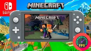 Minecraft Nintendo Switch Lite Gameplay - FPS Monitor
