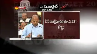 AP Budget 2015 : 3,231 crores for BC welfare