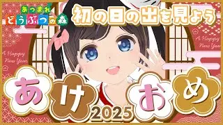 【初日の出】2026年のお日様見よー！【あつまれどうぶつの森/#のんなま】