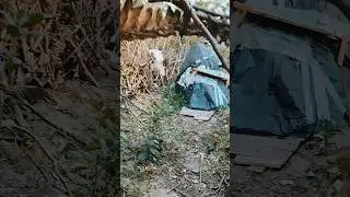 Urban Survival: Challenging a detriment #offgrid #gypsy #adventure #diy #viral #shelter