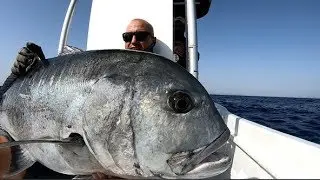 Giant Trevally Fishing Djibouti 🐟 Angeln 7 Brothers Islands