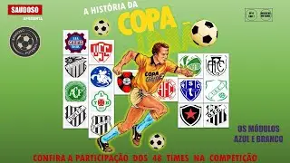COPA UNI&Atilde;O DE 1987 - M&Oacute;DULOS AZUL E BRANCO