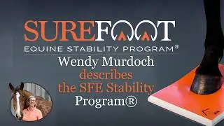 Wendy Murdoch describes the SURE FOOT Equine Stability Program
