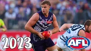 Sean Darcy 2023 AFL Highlights