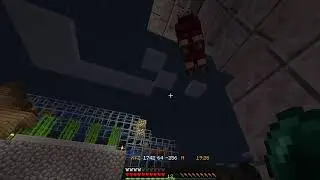 discosheep
